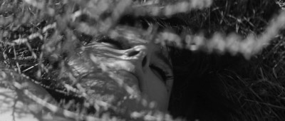 Die Tote von Beverly Hills (3).jpg