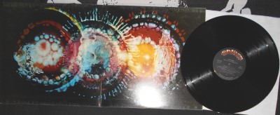 GRACE Slick - Sunburst (2).JPG