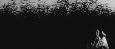 Onibaba (5).JPG